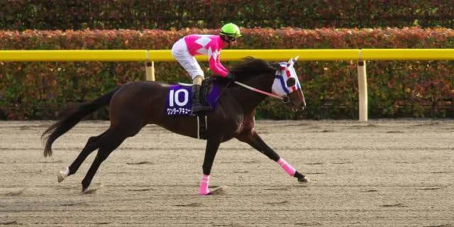 ワンダーアキュートが種牡馬入り！名馬カリズマティックの血を繋ぐ