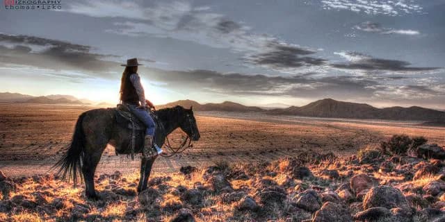 きさらぎ賞(G3)有力馬情報ロイカバード・超良血素質馬がクラシックに向け賞金加算を目論む！