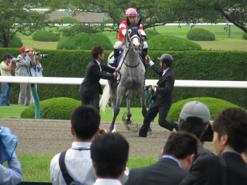 ゴールドシップ