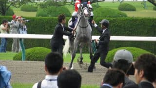 ゴールドシップ