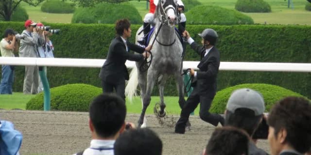 ゴールドシップ