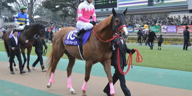 【南部杯2016予想】コパノリッキーVSホッコータルマエVSその他中央勢、制するのはどの馬だ？！