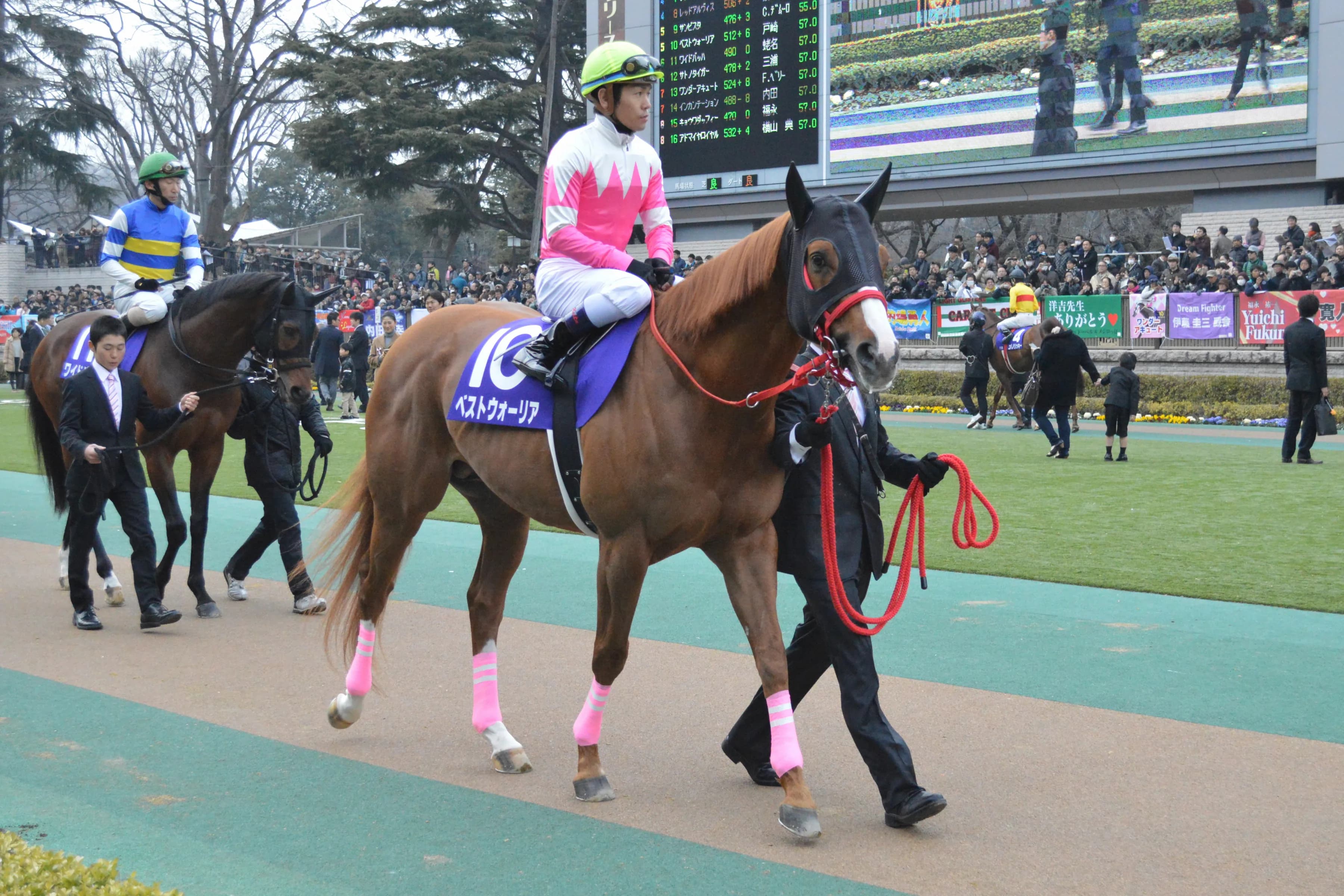 新種牡馬ベストウォーリア、初年度産駒が地方で好調の滑り出し