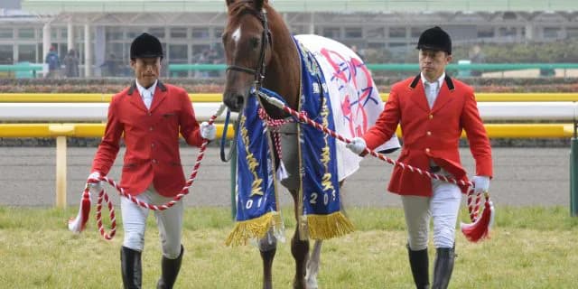 2016年フェブラリーステークス(G1)出走馬情報