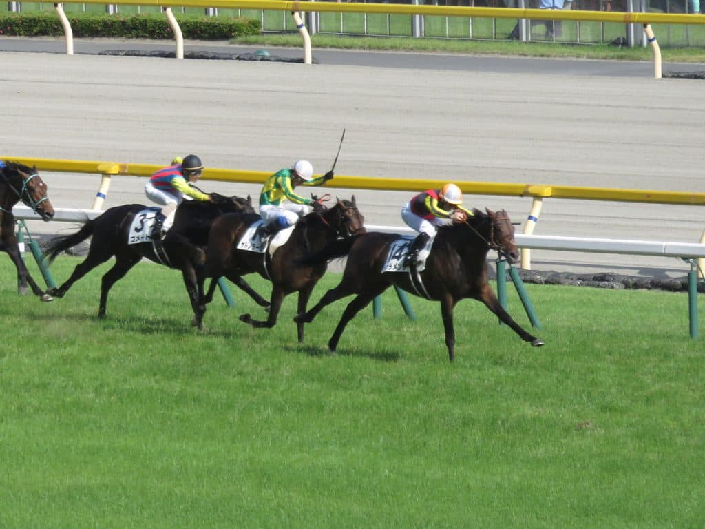 中山記念(G2)有力馬情報・ドゥラメンテ