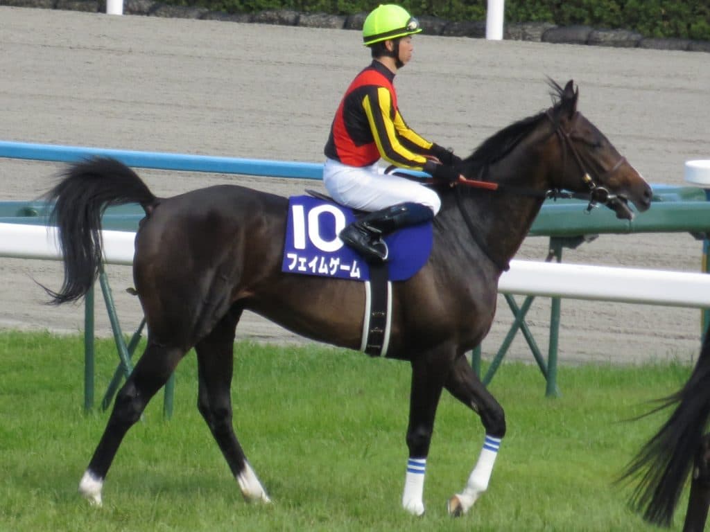 【ステイヤーズS予想2017】競馬でも「プロは同じミスを二度しない」は通用するのか？真価問われる一戦