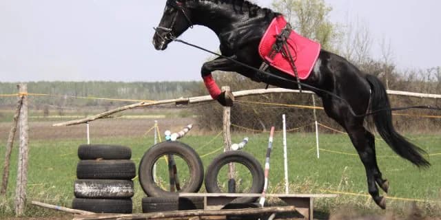 【共同通信杯2016予想】父を彷彿とさせる「飛んだ」末脚！ハートレーに注目