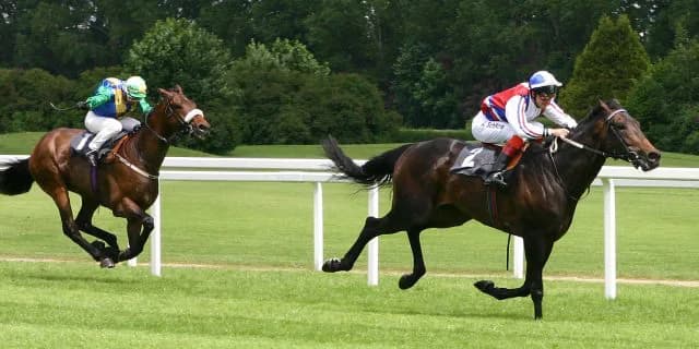 【2月27日中山（土）総武S】同世代ライバルに追い付けゴールデンバローズ！