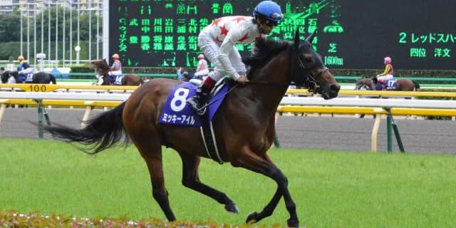 ミッキーアイル種牡馬入り！路線変更、脚質転換、斜行問題など、苦難を乗り越え現役引退
