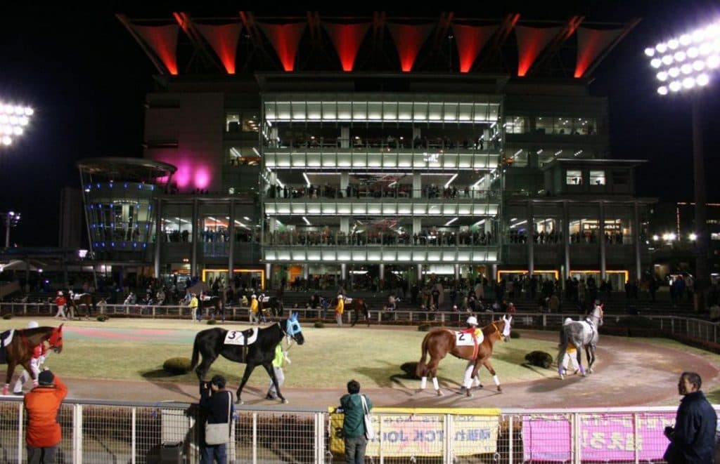 【第60回金盃2016予想】特異な条件でこそ長距離得意なプレティオラスを狙う