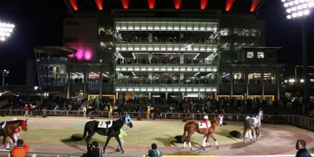 【第60回金盃2016予想】特異な条件でこそ長距離得意なプレティオラスを狙う