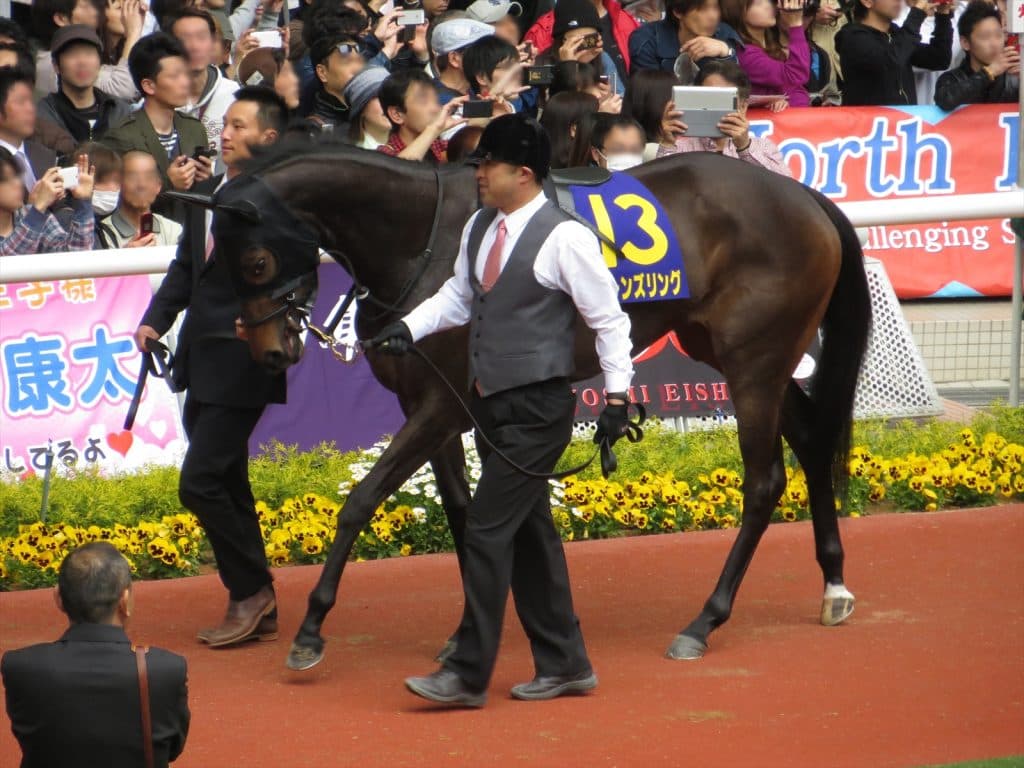 クイーンズリング、有馬記念がラストラン。引退後は繁殖へ