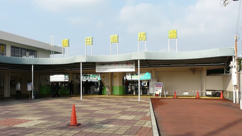 【2月18日（木）園田競馬場1Ｒ】スタートダッシュはこの馬で。