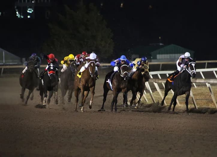 フェブラリーステークス(G1)有力馬情報・ノンコノユメ