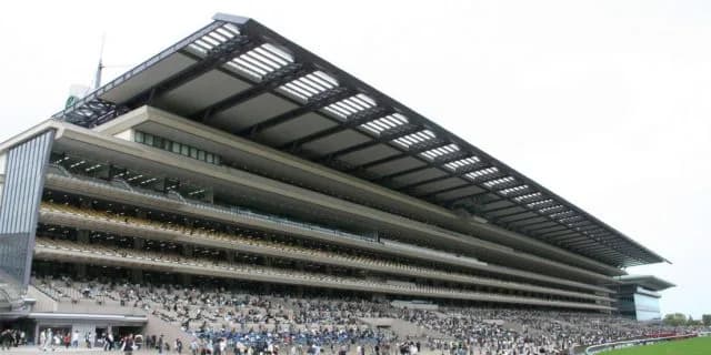 【富士S予想2019】マイルCSへ向けたステップ！アドマイヤマーズやノームコアなど出走予定馬を考察