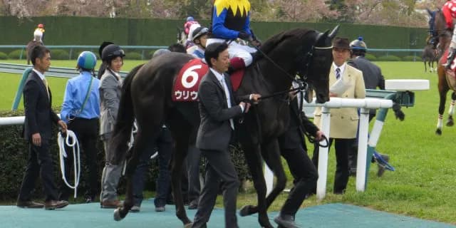 京都牝馬ステークス(G3)有力馬情報・ウリウリ