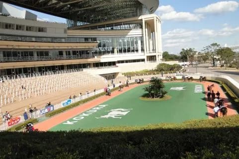 【小倉大賞典2016予想】小倉を盛り上げる注目の3頭