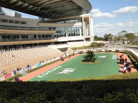 【小倉大賞典2016予想】小倉を盛り上げる注目の3頭