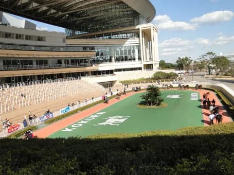 【小倉大賞典2016予想】小倉を盛り上げる注目の3頭