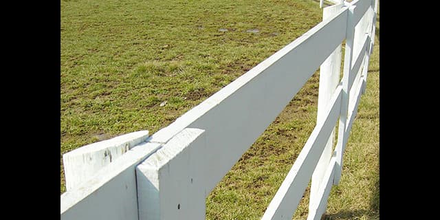 ゴールドシップ種牡馬展示会へ、「本業」は順調の様子