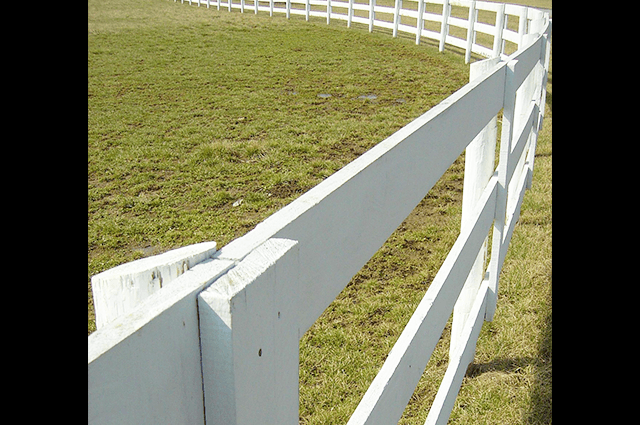 ゴールドシップ種牡馬展示会へ、「本業」は順調の様子