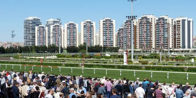 【共同通信杯2016回顧】2強ムード覆しディーマジェスティ優勝！