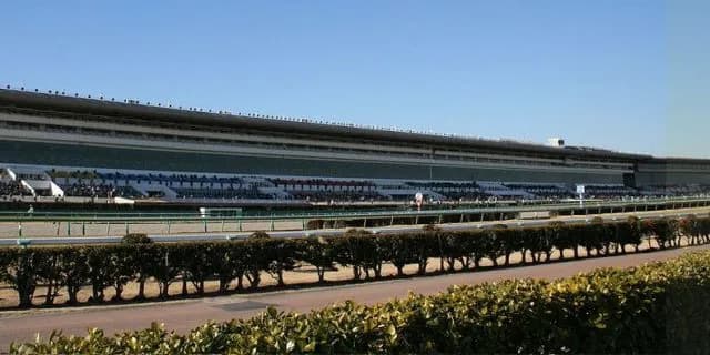 【4月2日（土）中山11R船橋S】コスモドームに注目。