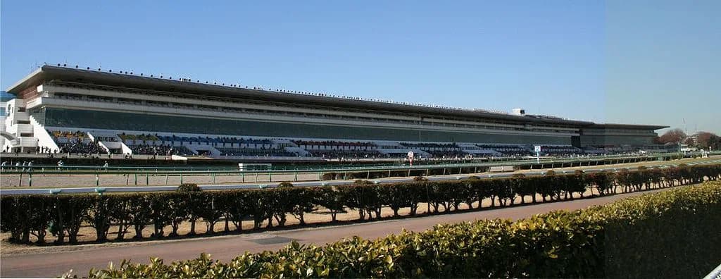 【フラワーカップ2016回顧】中山適性からオークスに繋がる馬が見えたレース