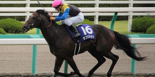 【大阪杯2016有力馬】いよいよラブリーデイ始動！使い詰めからの休養明けに期待が高まる！