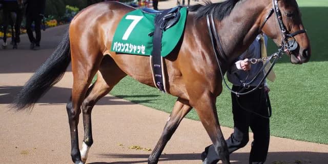 【中日新聞杯2016】バウンスシャッセ、上積み見込める