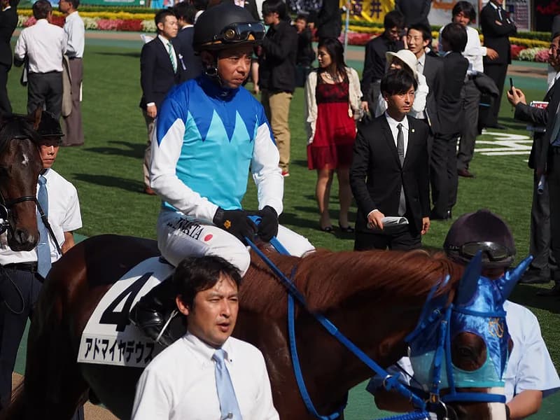 【阪神大賞典2016予想】岩田J、相棒アドマイヤデウスで復活の狼煙あげれるか？