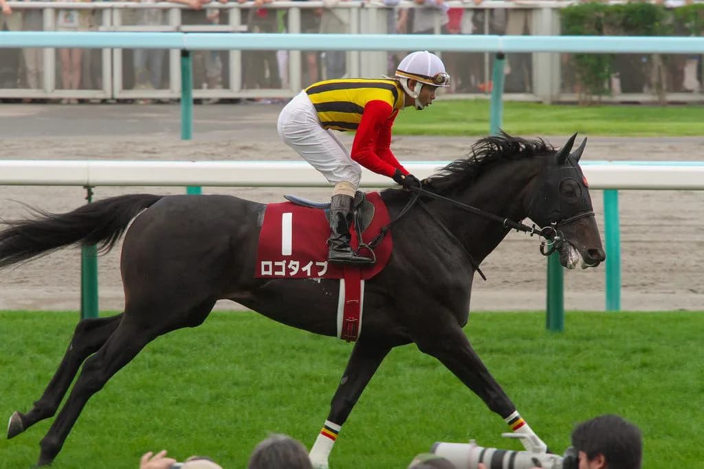 【ダービー卿CT2016】ロゴタイプ、得意の舞台だが・・・？