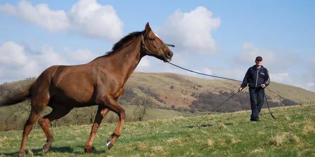 小粒なフィリーズレビュー。メイショウサムソン産駒のナタリーバローズが桜花賞切符をしっかり手にする！