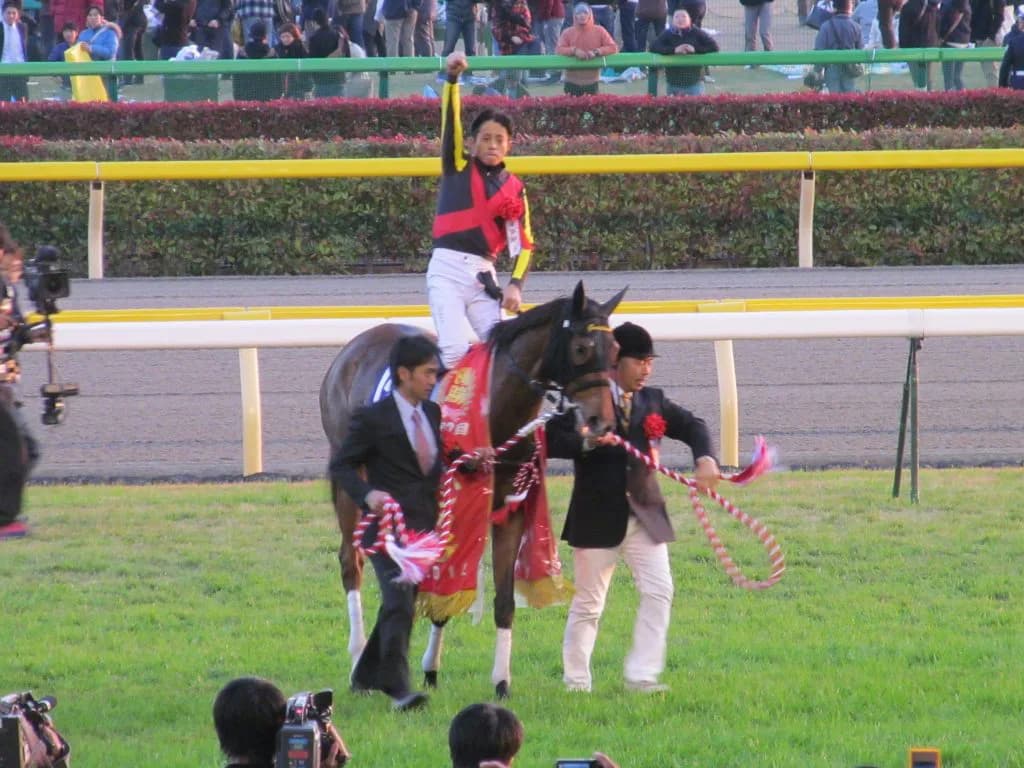 【チューリップ賞2016予想】ジェンティルドンナの再来を思わせるジュエラーが桜花賞の主役に躍り出る！