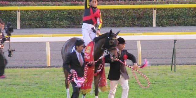 【チューリップ賞2016予想】ジェンティルドンナの再来を思わせるジュエラーが桜花賞の主役に躍り出る！