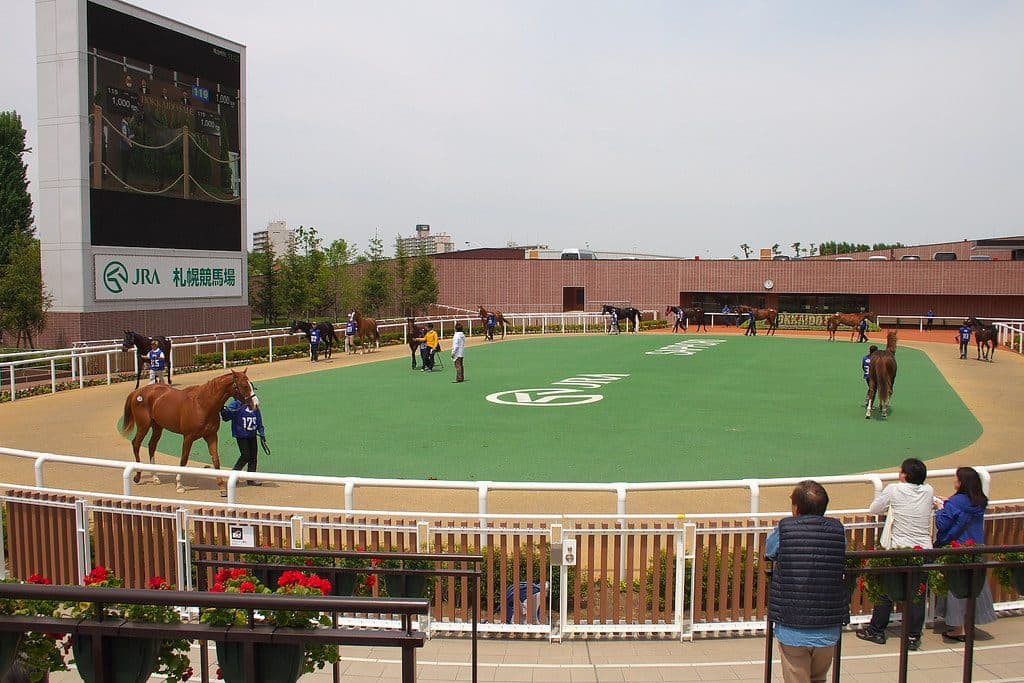 競馬場七不思議（？）事件は指定席じゃなく一般エリアで起きている