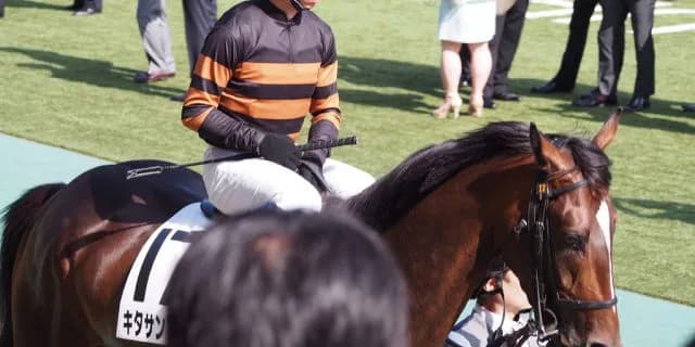 【大阪杯2016予想】なぜか1番人気に推されない、菊花賞馬キタサンブラック