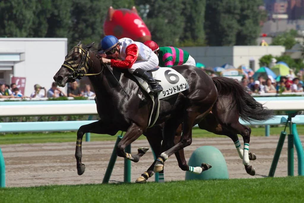 【中山牝馬S2016回顧】超スローペースでの展開制したのは重賞初Vシュンドルボン