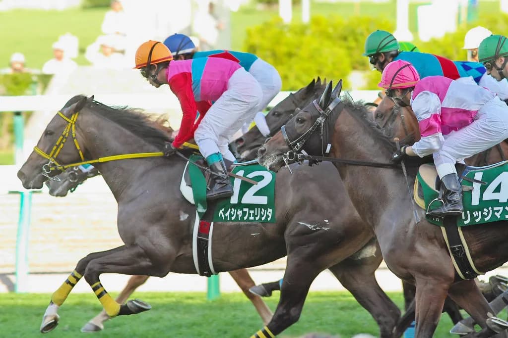 【ファルコンS2016注目馬】伸び盛りの穴馬ペイシャフェリシタ