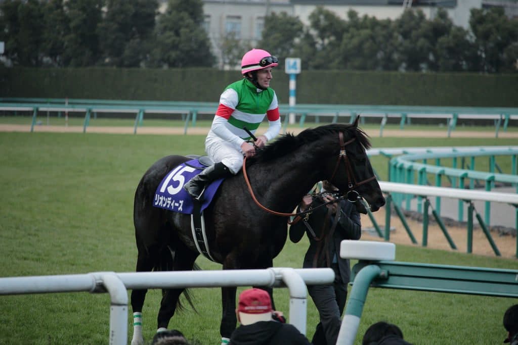 【弥生賞2016予想】リオンディーズは切るべきか？