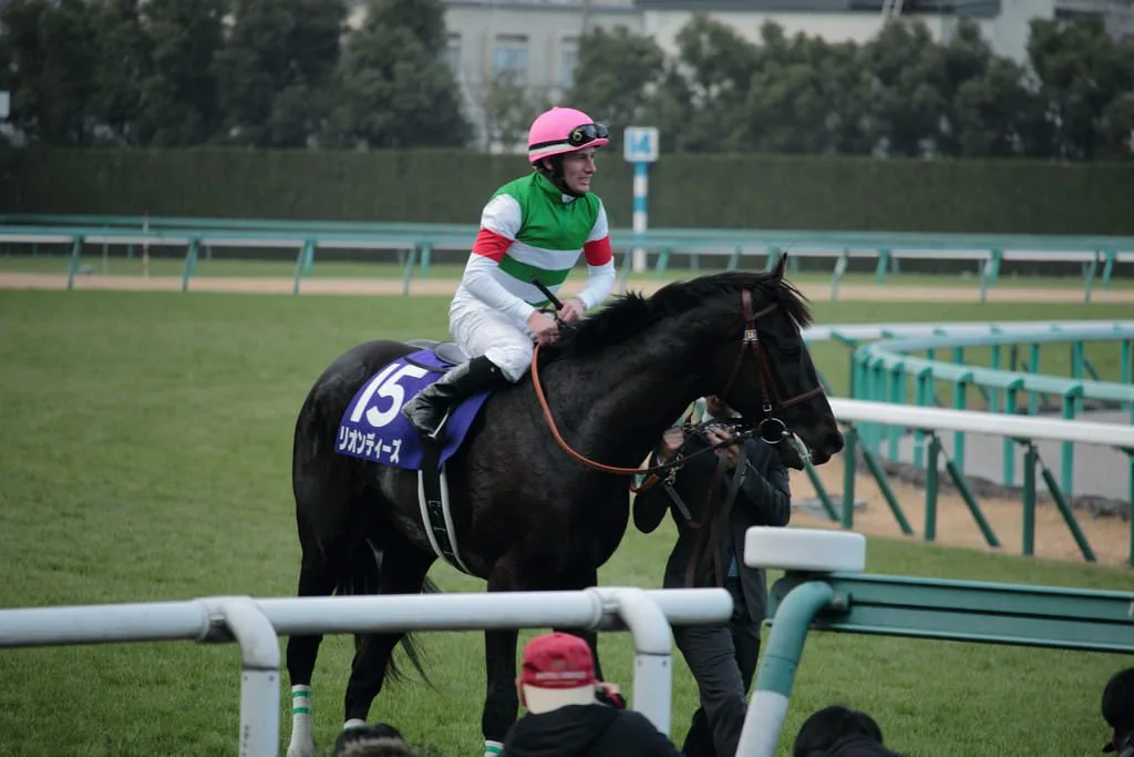 【弥生賞2016予想】リオンディーズは切るべきか？