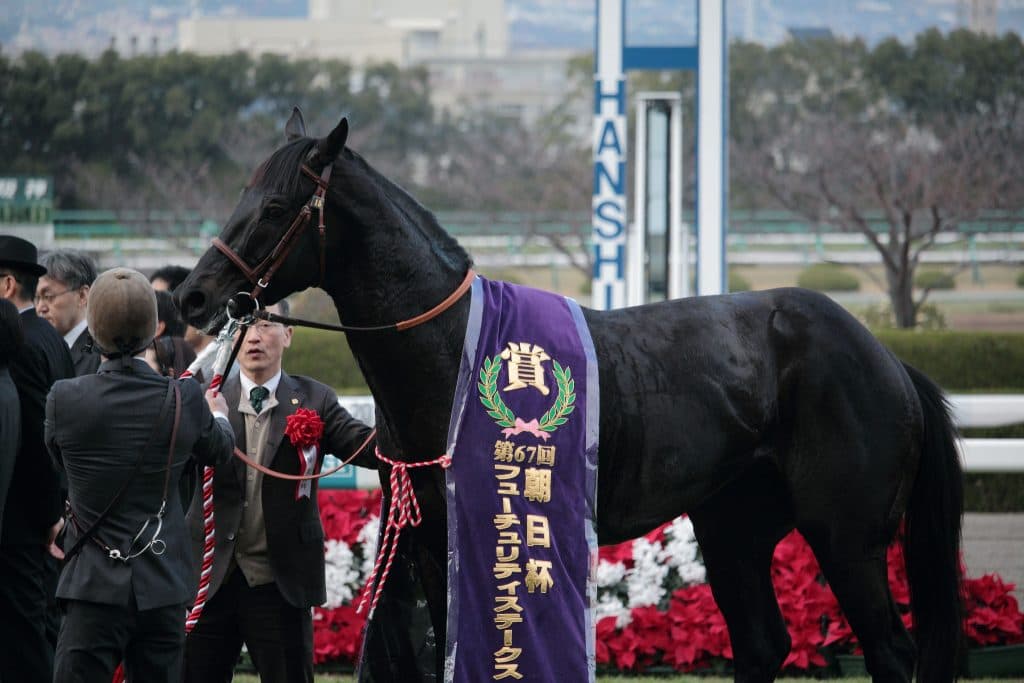 弥生賞(G2)有力馬情報・絶対王者の風格を見せるかリオンディーズ