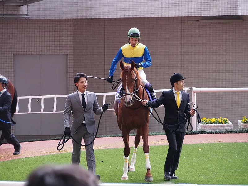 【フィリーズレビュー予想2016】最近めっきりな武豊