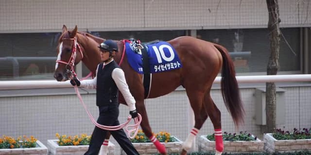 【弥生賞2016予想】皐月賞トライアルも、「勝ちに行く姿勢」見たい