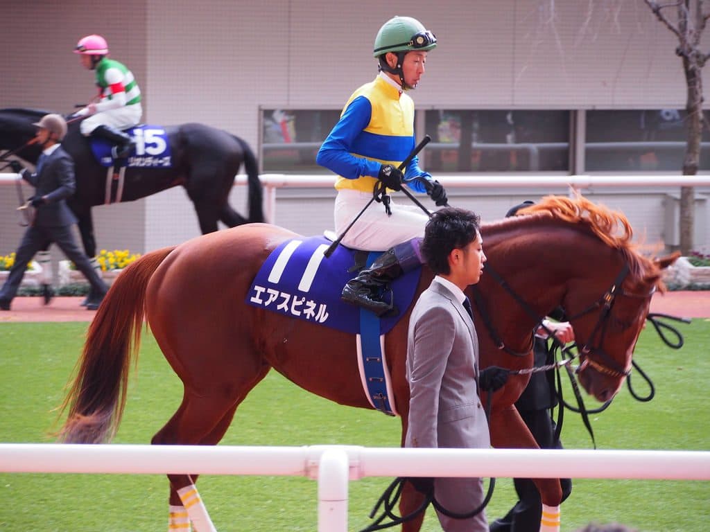 【弥生賞2016予想】中山ならエアスピネルか？