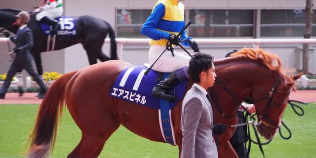 【富士S予想2017】エアスピネル、武豊で再度王座狙う