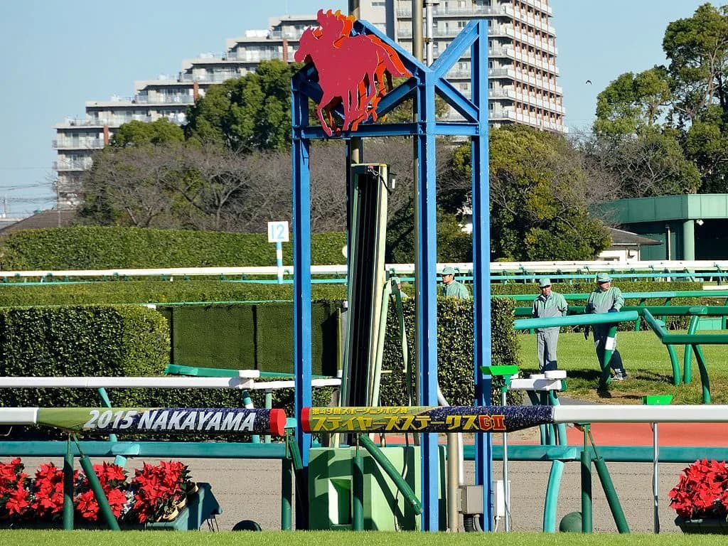 【中山牝馬S結果2017】武豊騎手の完璧騎乗！トーセンビクトリー悲願の重賞初制覇！