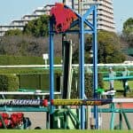 【中山牝馬S結果2017】武豊騎手の完璧騎乗！トーセンビクトリー悲願の重賞初制覇！