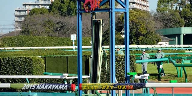 【中山牝馬S結果2017】武豊騎手の完璧騎乗！トーセンビクトリー悲願の重賞初制覇！