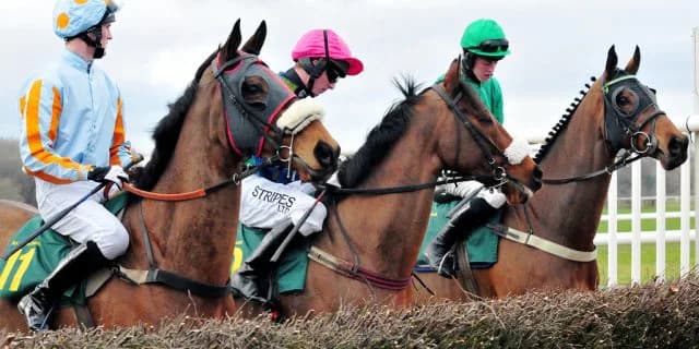 チューリップ賞(G3)有力馬情報・レッドアヴァンセ